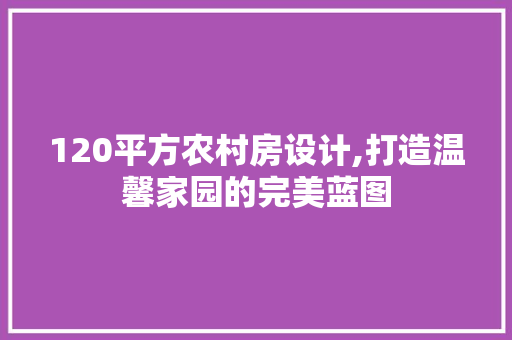 120平方农村房设计,打造温馨家园的完美蓝图