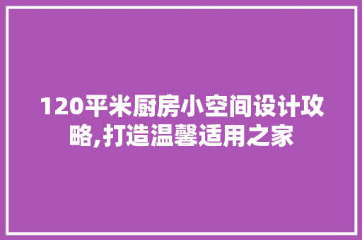 120平米厨房小空间设计攻略,打造温馨适用之家