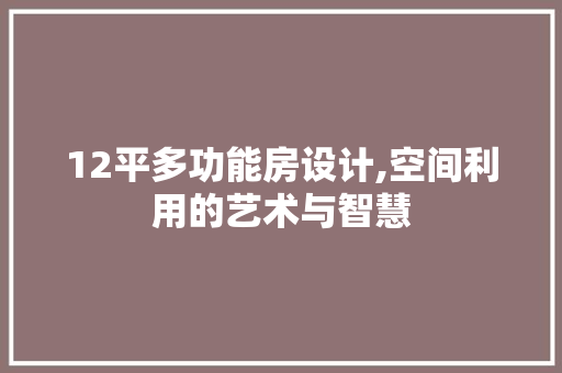 12平多功能房设计,空间利用的艺术与智慧