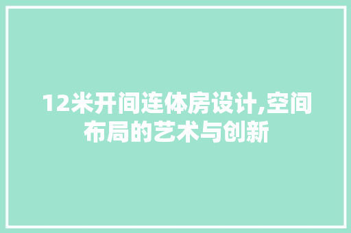 12米开间连体房设计,空间布局的艺术与创新