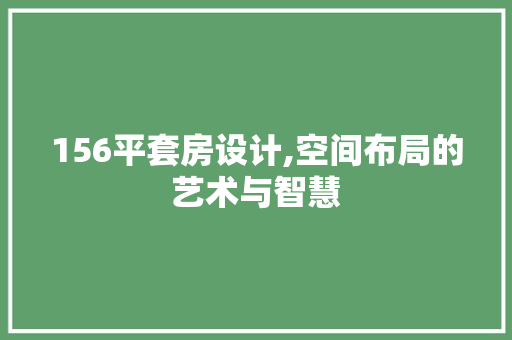 156平套房设计,空间布局的艺术与智慧