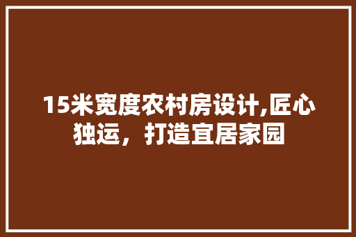 15米宽度农村房设计,匠心独运，打造宜居家园
