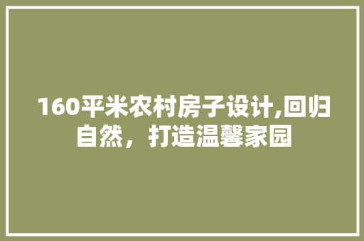 160平米农村房子设计,回归自然，打造温馨家园