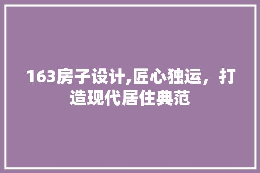 163房子设计,匠心独运，打造现代居住典范