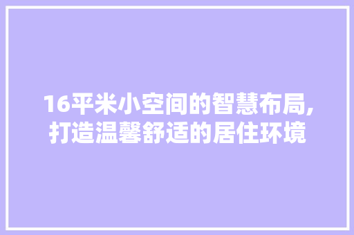 16平米小空间的智慧布局,打造温馨舒适的居住环境