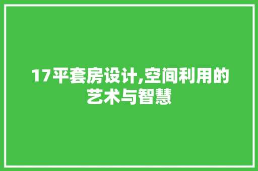 17平套房设计,空间利用的艺术与智慧