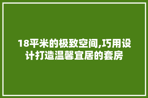 18平米的极致空间,巧用设计打造温馨宜居的套房