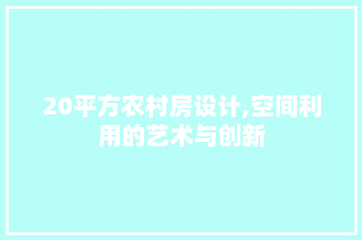 20平方农村房设计,空间利用的艺术与创新