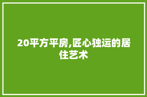 20平方平房,匠心独运的居住艺术