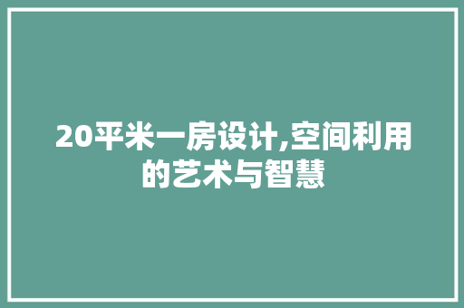 20平米一房设计,空间利用的艺术与智慧