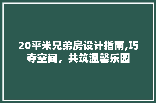 20平米兄弟房设计指南,巧夺空间，共筑温馨乐园