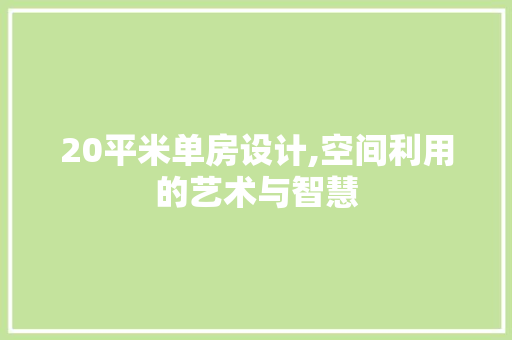 20平米单房设计,空间利用的艺术与智慧