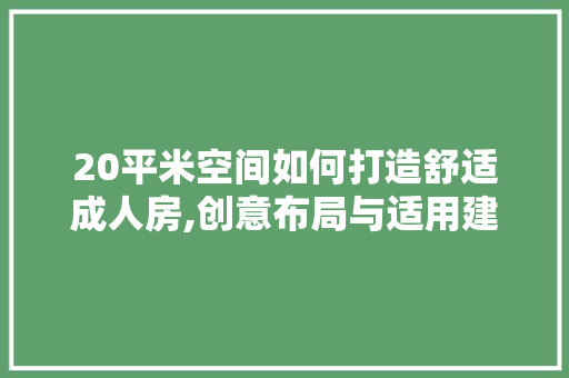 20平米空间如何打造舒适成人房,创意布局与适用建议