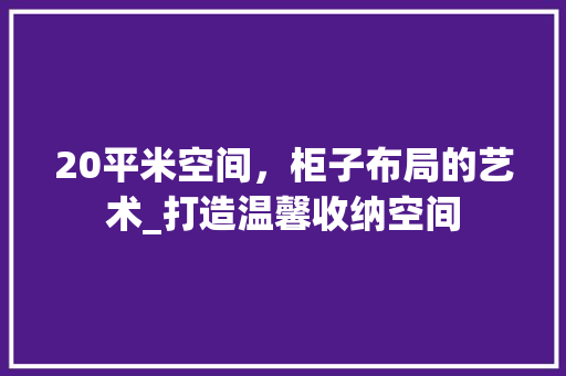 20平米空间，柜子布局的艺术_打造温馨收纳空间