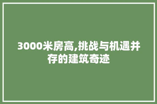 3000米房高,挑战与机遇并存的建筑奇迹