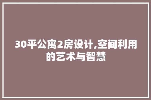 30平公寓2房设计,空间利用的艺术与智慧