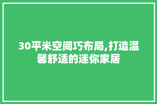 30平米空间巧布局,打造温馨舒适的迷你家居