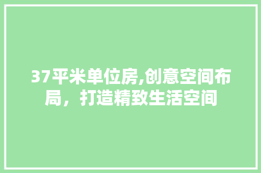 37平米单位房,创意空间布局，打造精致生活空间