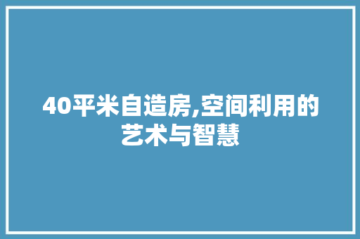 40平米自造房,空间利用的艺术与智慧