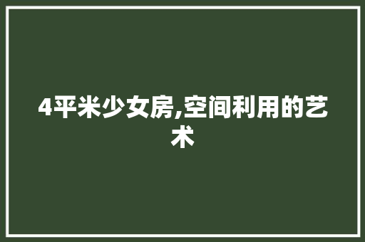 4平米少女房,空间利用的艺术