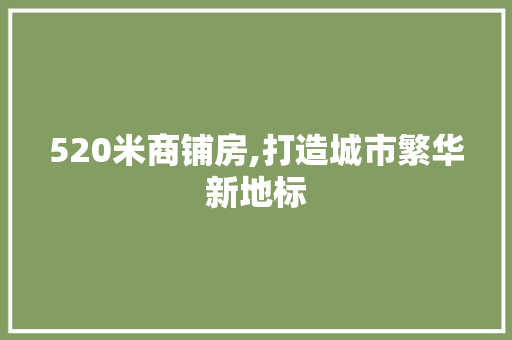 520米商铺房,打造城市繁华新地标