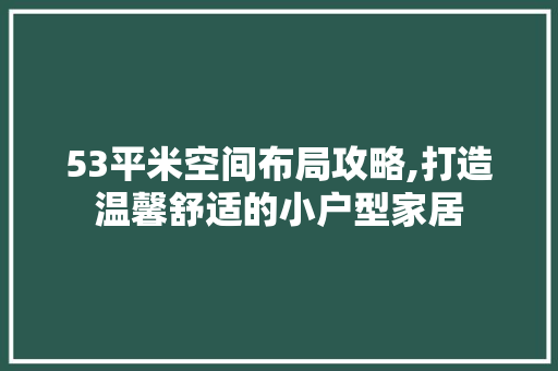 53平米空间布局攻略,打造温馨舒适的小户型家居