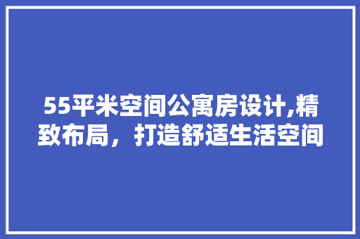 55平米空间公寓房设计,精致布局，打造舒适生活空间