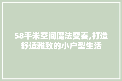 58平米空间魔法变奏,打造舒适雅致的小户型生活