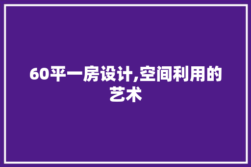 60平一房设计,空间利用的艺术