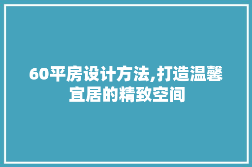 60平房设计方法,打造温馨宜居的精致空间