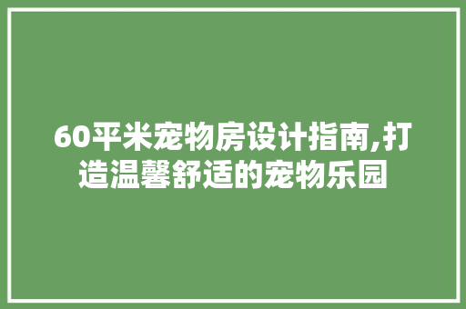 60平米宠物房设计指南,打造温馨舒适的宠物乐园