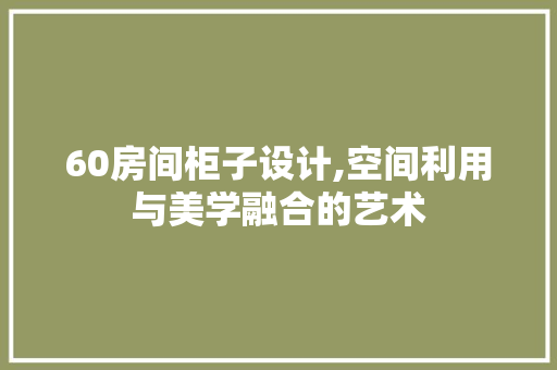 60房间柜子设计,空间利用与美学融合的艺术