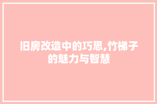 旧房改造中的巧思,竹梯子的魅力与智慧