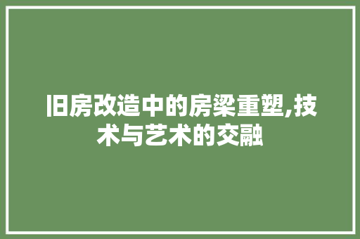 旧房改造中的房梁重塑,技术与艺术的交融