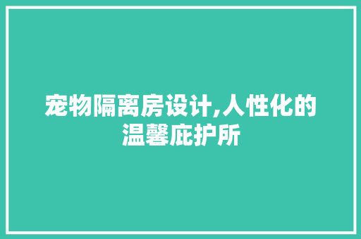 宠物隔离房设计,人性化的温馨庇护所