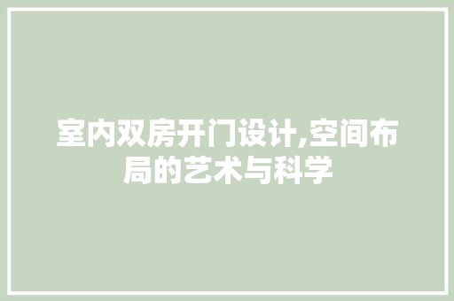 室内双房开门设计,空间布局的艺术与科学