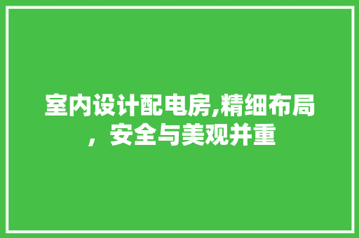 室内设计配电房,精细布局，安全与美观并重