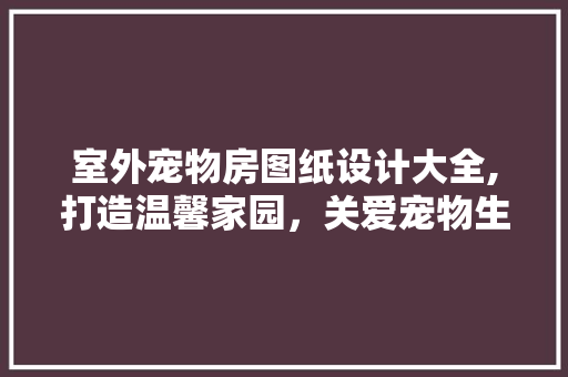 室外宠物房图纸设计大全,打造温馨家园，关爱宠物生活
