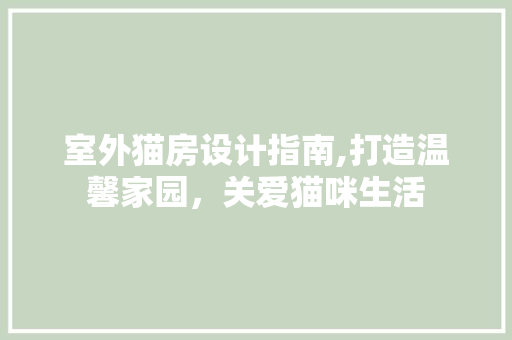 室外猫房设计指南,打造温馨家园，关爱猫咪生活