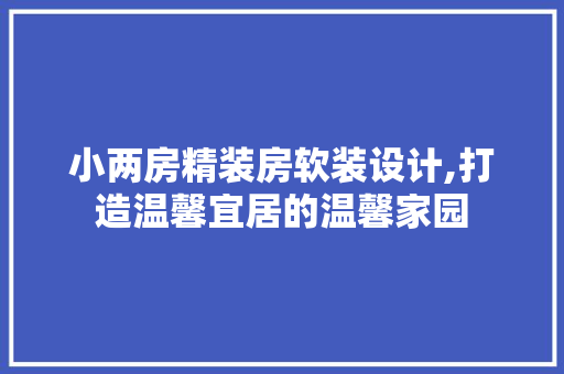 小两房精装房软装设计,打造温馨宜居的温馨家园