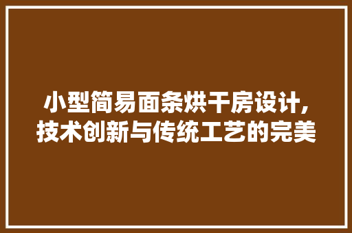 小型简易面条烘干房设计,技术创新与传统工艺的完美融合