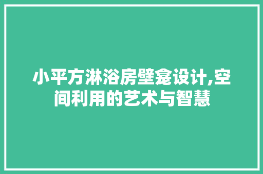 小平方淋浴房壁龛设计,空间利用的艺术与智慧