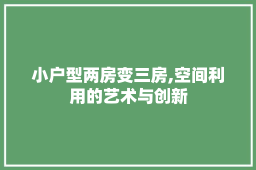 小户型两房变三房,空间利用的艺术与创新