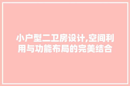 小户型二卫房设计,空间利用与功能布局的完美结合