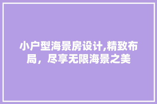 小户型海景房设计,精致布局，尽享无限海景之美