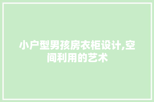 小户型男孩房衣柜设计,空间利用的艺术