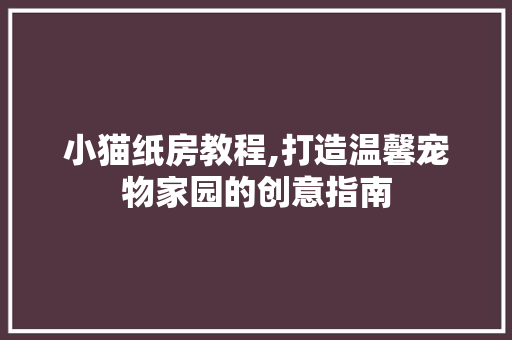 小猫纸房教程,打造温馨宠物家园的创意指南
