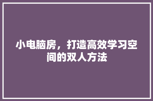 小电脑房，打造高效学习空间的双人方法