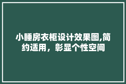 小睡房衣柜设计效果图,简约适用，彰显个性空间
