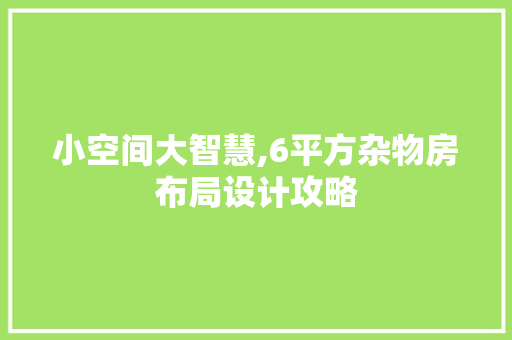 小空间大智慧,6平方杂物房布局设计攻略